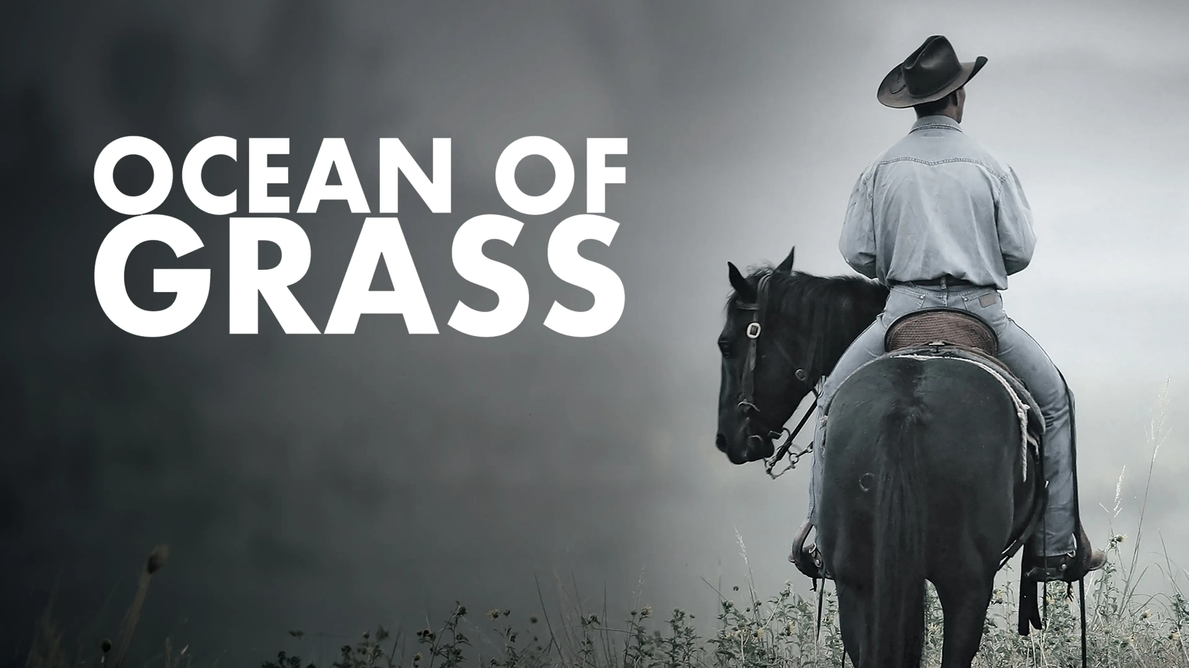 Ocean Of Grass poster